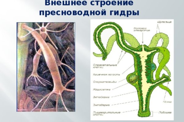 Мефедрон телеграмм купить